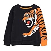 Youth Tiger Sweater